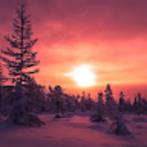 Meet your Posher, Corazon